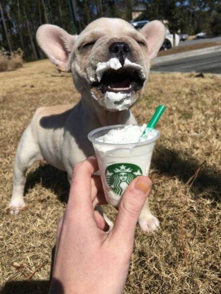 Daily Picdump Daily Picdump