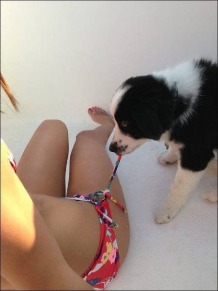 Daily Picdump Daily Picdump