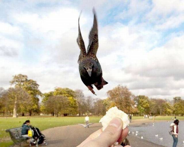 Daily Picdump Daily Picdump