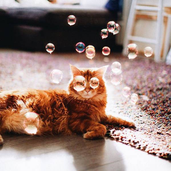Daily Picdump Daily Picdump