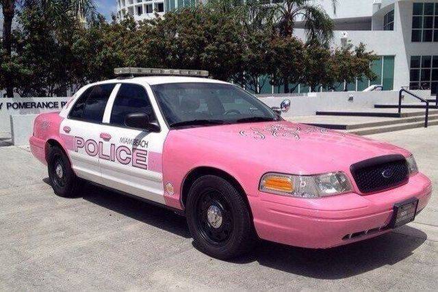 Daily Picdump Daily Picdump