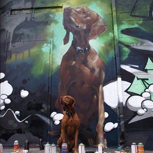 Daily Picdump Daily Picdump