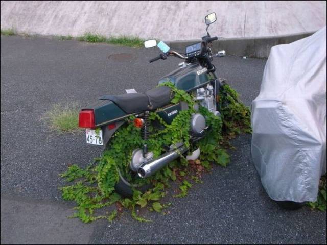 Daily Picdump Daily Picdump