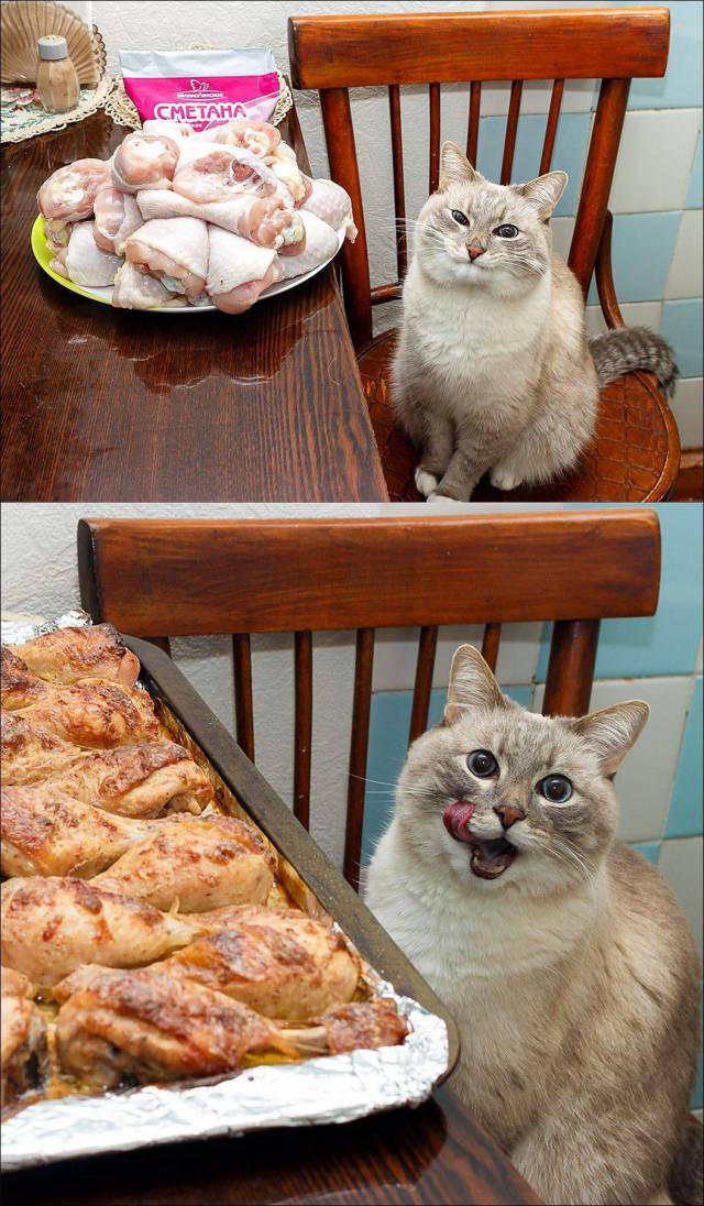 Daily Picdump Daily Picdump