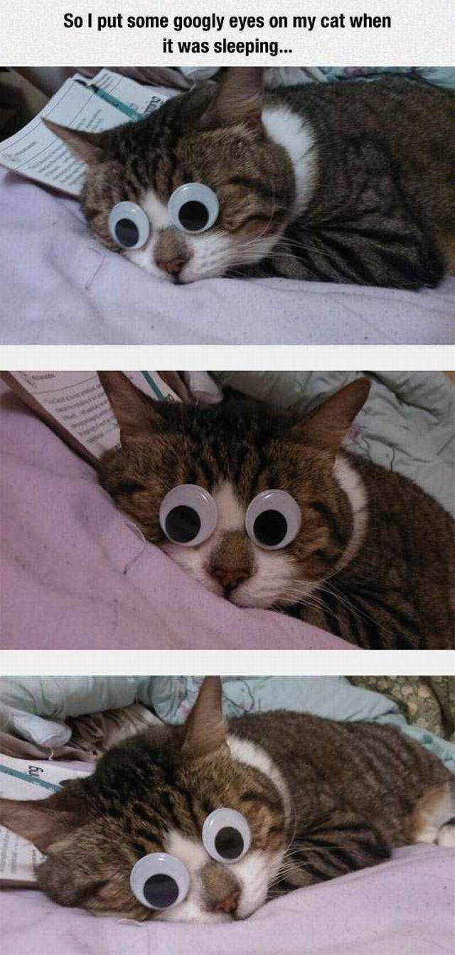 Daily Picdump Daily Picdump