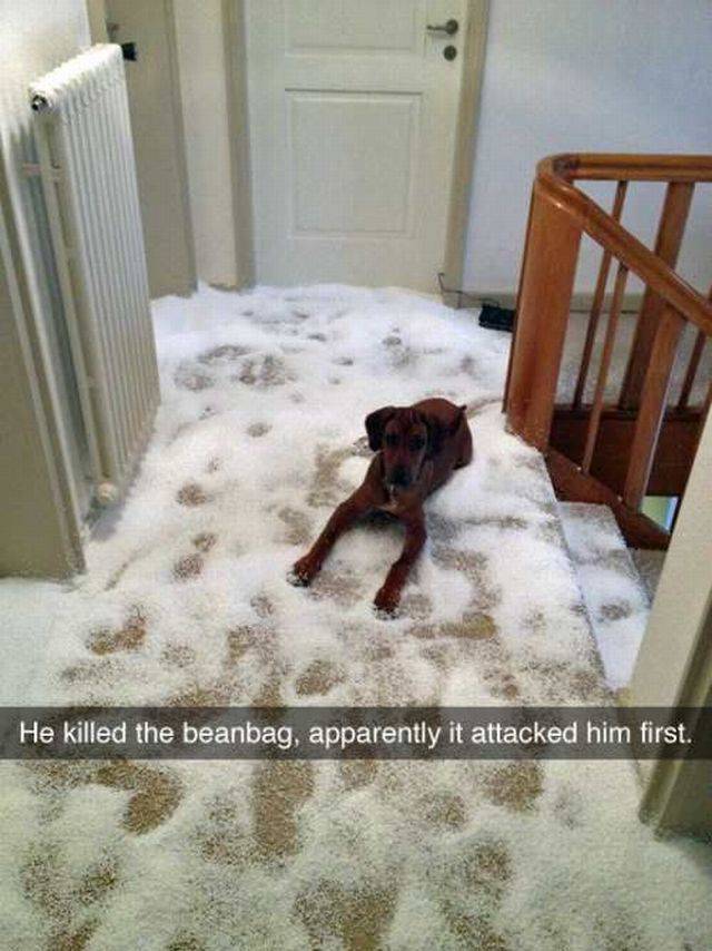 Daily Picdump Daily Picdump
