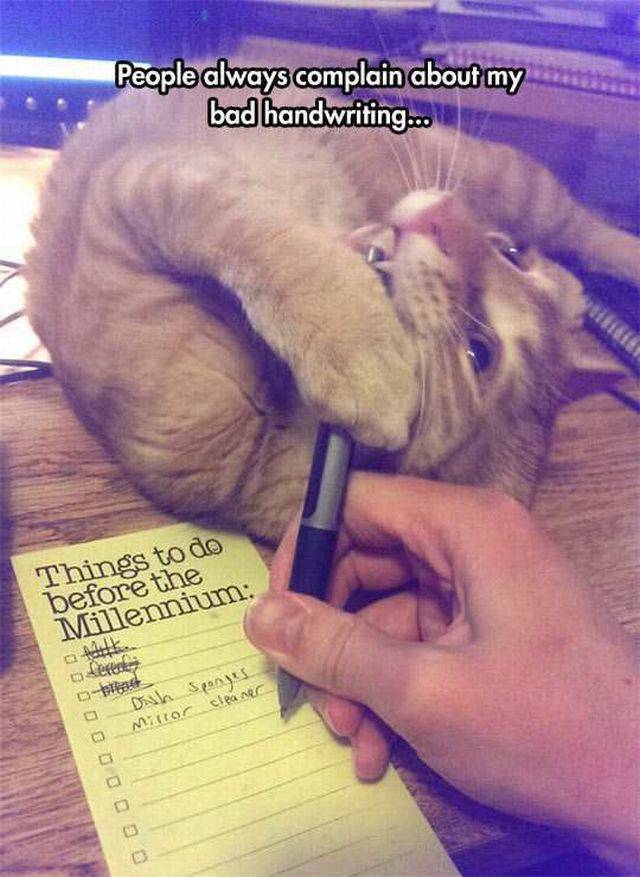 Daily Picdump Daily Picdump
