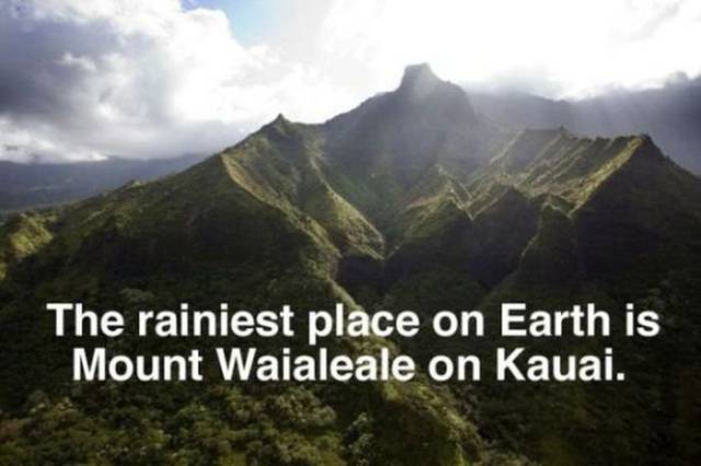 Unusual and Interesting Facts About Hawaii You May Have Not Known