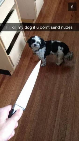 Daily Picdump Daily Picdump
