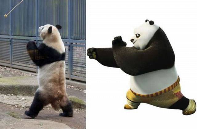 Daily Picdump Daily Picdump