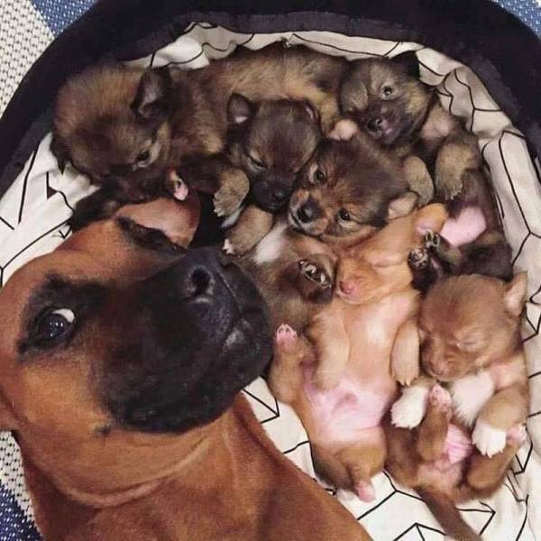 Daily Picdump Daily Picdump