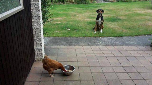 Daily Picdump Daily Picdump
