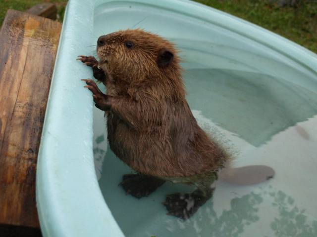 Daily Picdump Daily Picdump