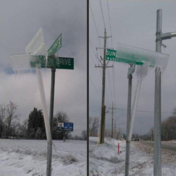 Daily Picdump Daily Picdump
