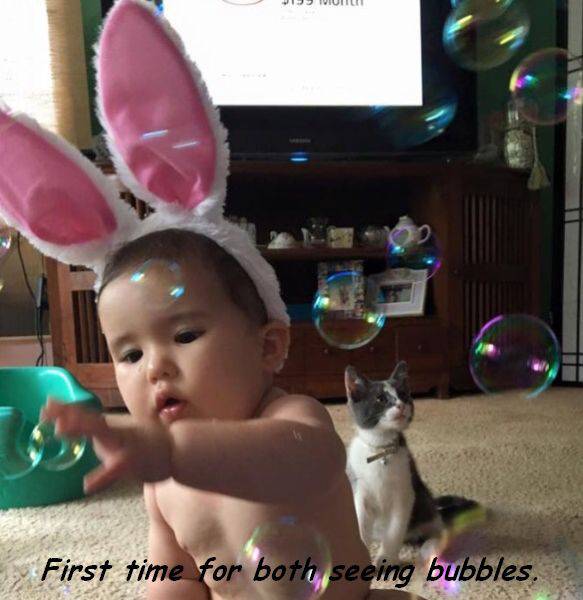 Daily Picdump Daily Picdump