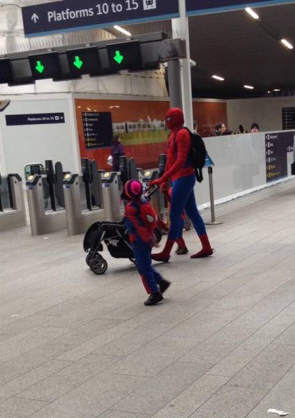 Daily Picdump Daily Picdump
