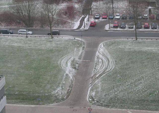 Daily Picdump Daily Picdump
