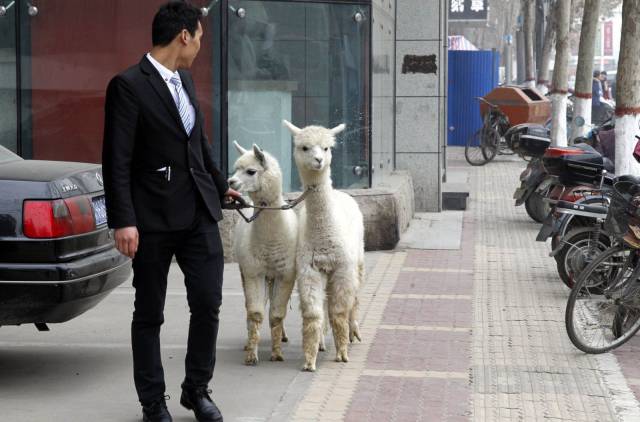 Daily Picdump Daily Picdump