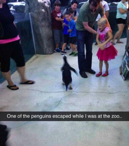 Daily Picdump Daily Picdump