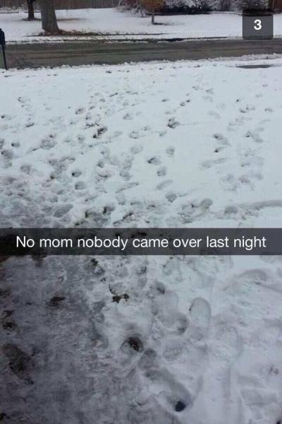 Daily Picdump Daily Picdump