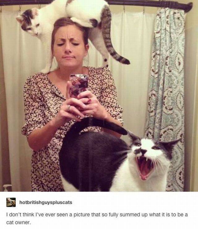 Daily Picdump Daily Picdump