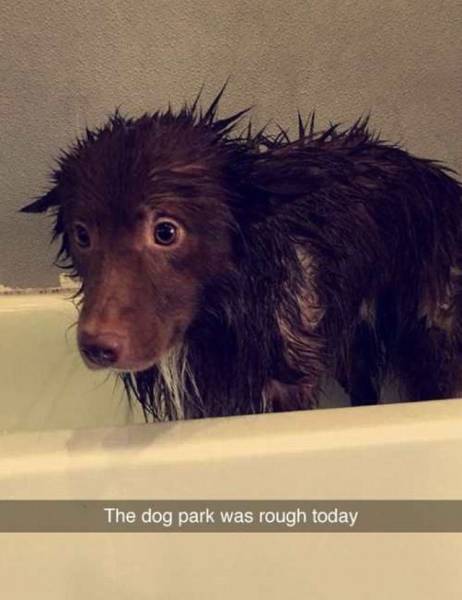 Daily Picdump Daily Picdump