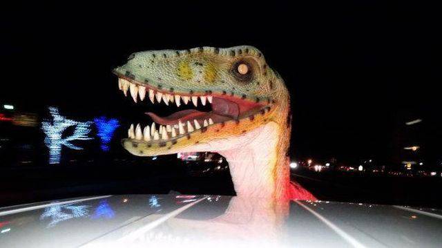 Daily Picdump Daily Picdump