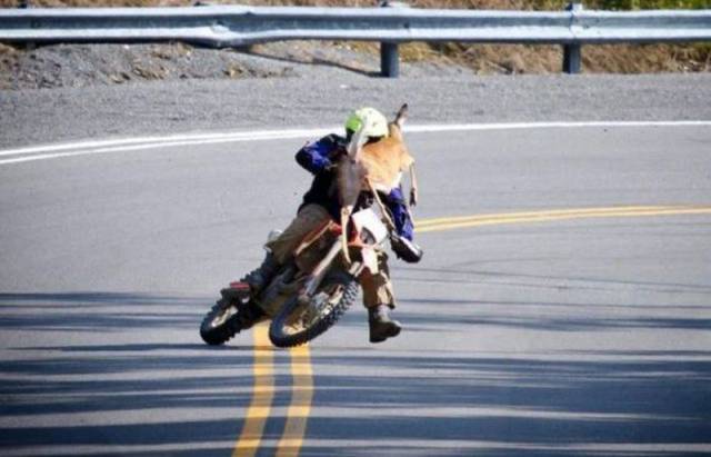 Daily Picdump Daily Picdump