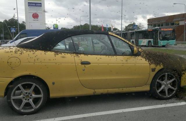 Daily Picdump Daily Picdump