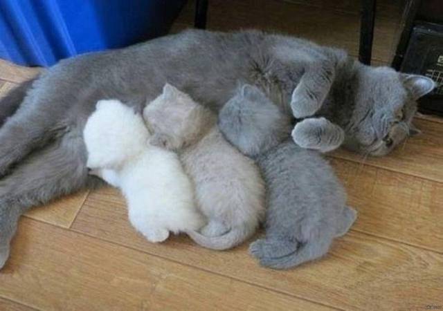 Daily Picdump Daily Picdump