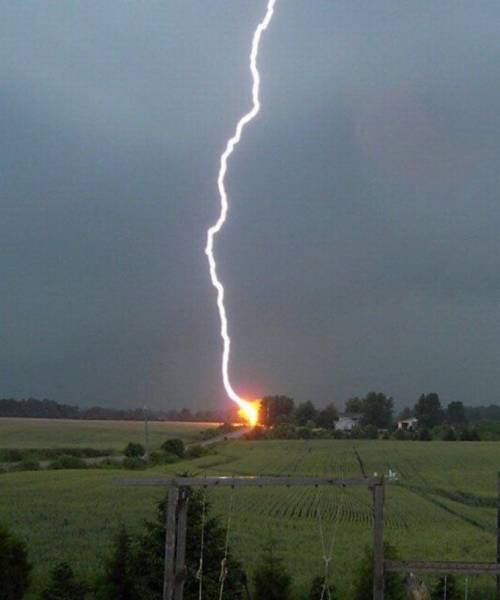 Daily Picdump Daily Picdump
