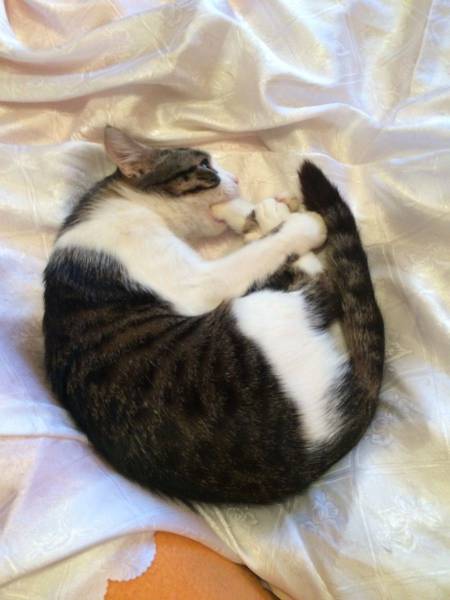 Daily Picdump Daily Picdump