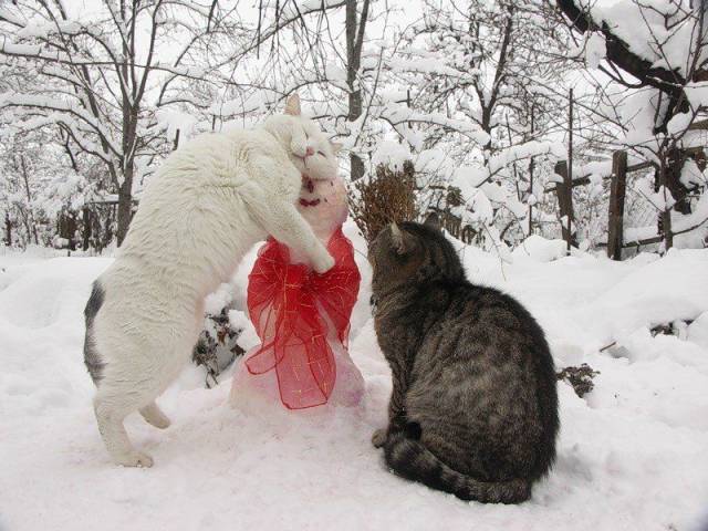 Daily Picdump Daily Picdump