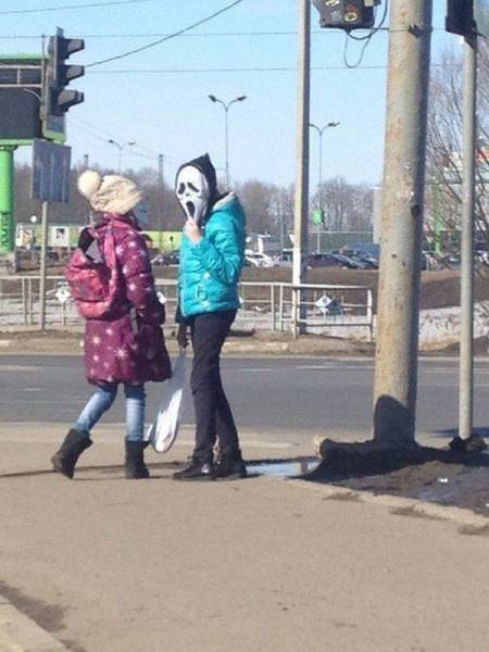 Daily Picdump Daily Picdump