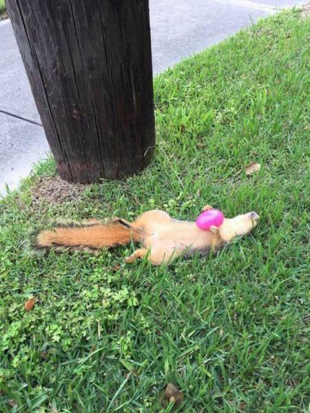 Daily Picdump Daily Picdump