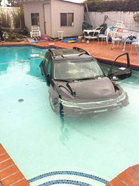 Daily Picdump Daily Picdump