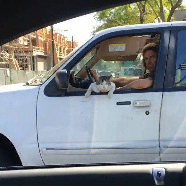 Daily Picdump Daily Picdump