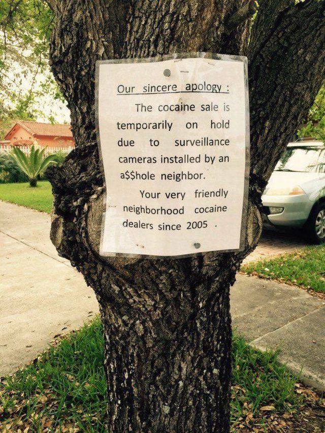 Daily Picdump Daily Picdump
