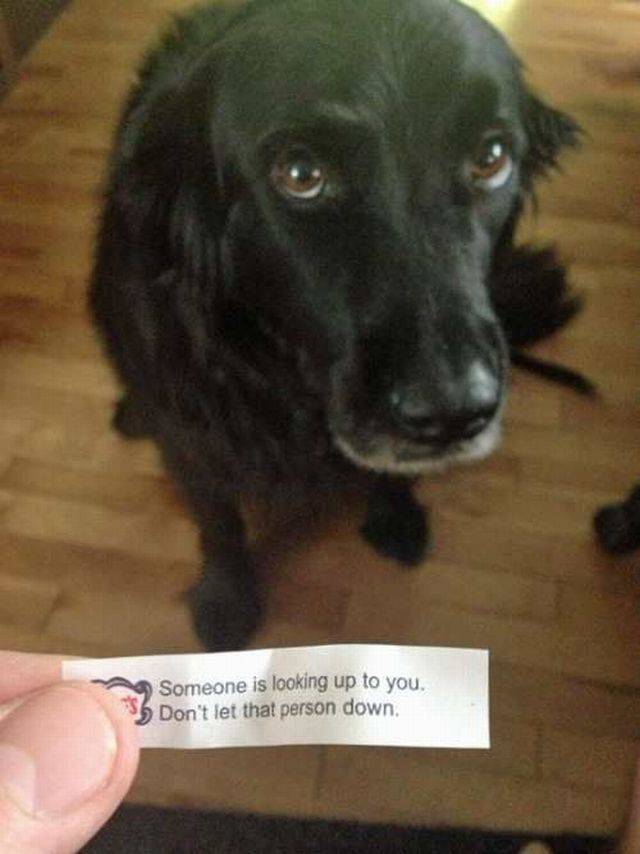 Daily Picdump Daily Picdump