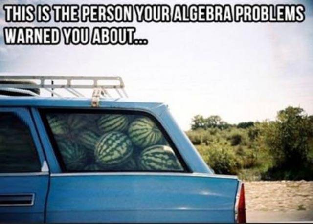 Hilarious Memes That Will Make Your Day