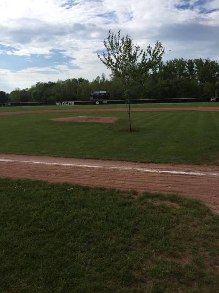 Some Of The Funniest Baseball Fails