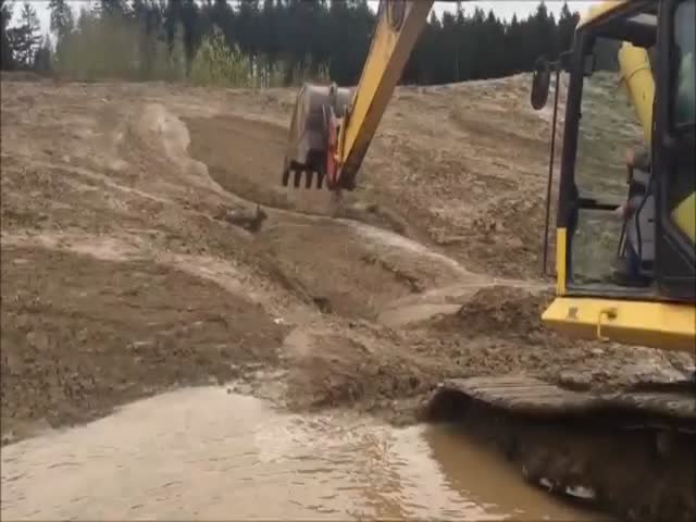 Excavator Operator Puts His Skills To Use To Save A Young Deer Stuck In The Mud