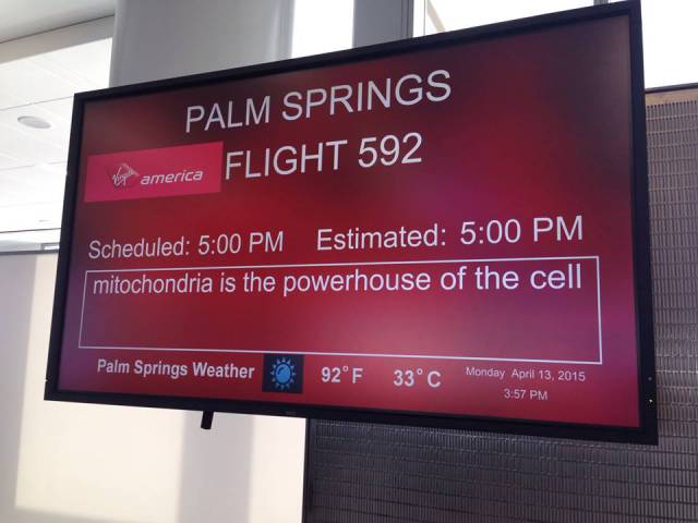 When You’re An Airline Employee You Can Have Such Kind Of Fun With Departure Signs