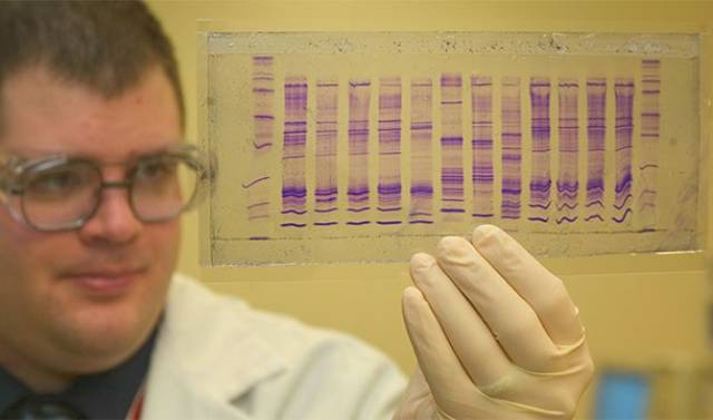 DNA Facts That Will Help Us  Understand The World Around Us