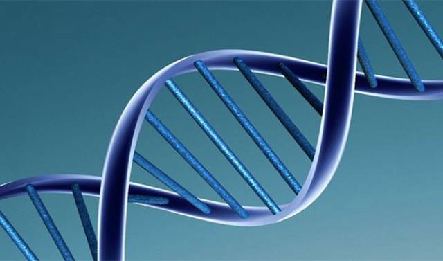 DNA Facts That Will Help Us  Understand The World Around Us