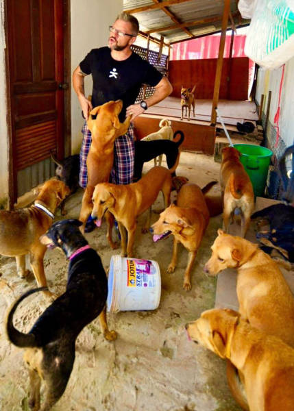 Man Feeds 80 Stray Dogs Each Day In Thailand