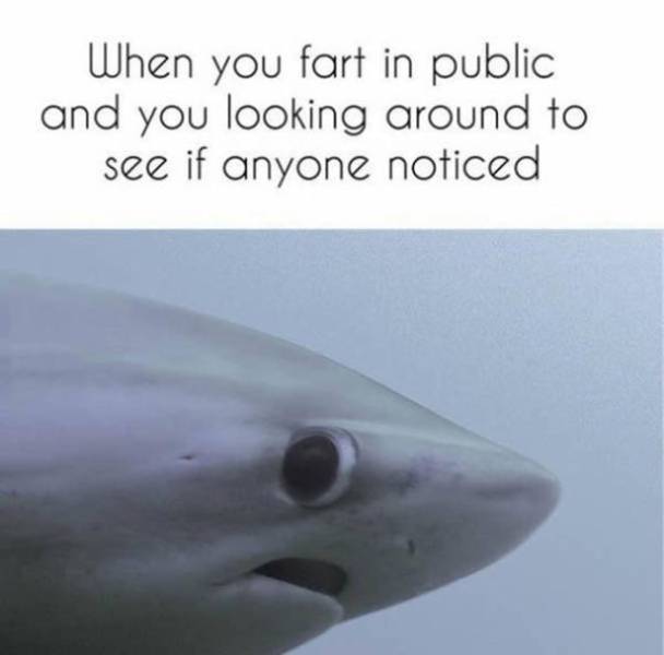 A Little Below-the-belt Humor for Those With Dirty Minds A Little Below-the-belt Humor for Those With Dirty Minds