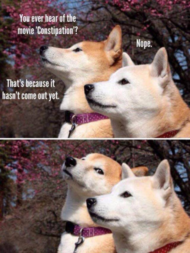 A Little Below-the-belt Humor for Those With Dirty Minds A Little Below-the-belt Humor for Those With Dirty Minds