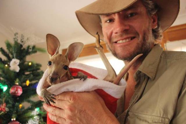 Man Saves Kangaroos In Australia And Nurses Them Back To Health