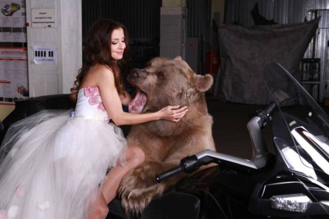 Russian Model Posing With A Huge Brown Bear In A Photo Shoot